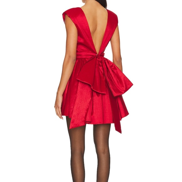 ROSE MINI DRESS - Picture 2 of 5